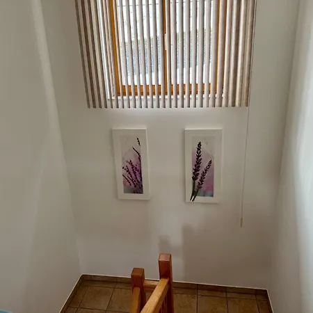 Am Bauernhof Mit Terrasse Naehe Wexl Arena Apartamento