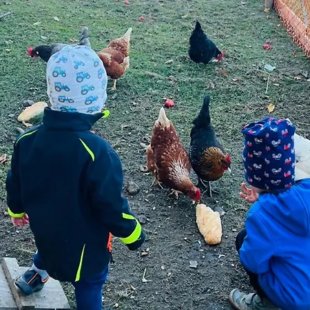 Koglhof * Sankt Corona am Wechsel