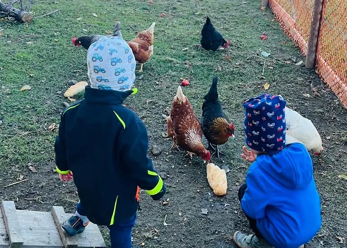 Koglhof * St. Corona am Wechsel